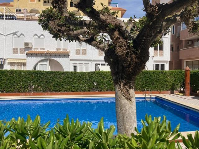 Casa Torrevieja La Mata Villa Екстериор снимка
