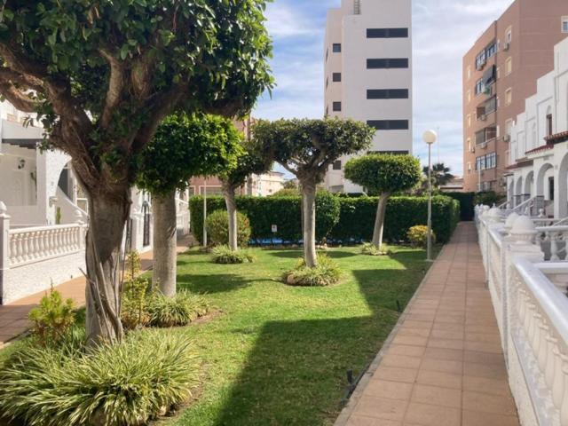 Casa Torrevieja La Mata Villa Екстериор снимка